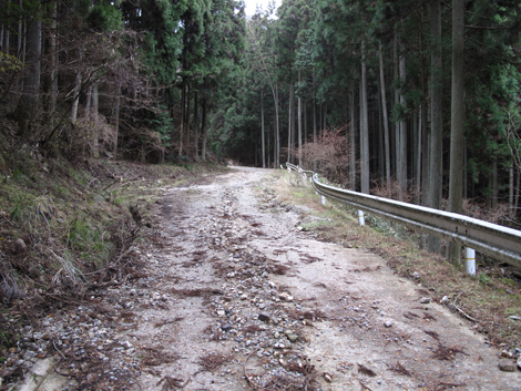 20140105hike (150)